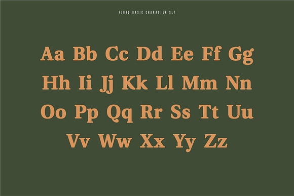 Fjord - Soft Fat Serif Font in Serif Fonts - product preview 1