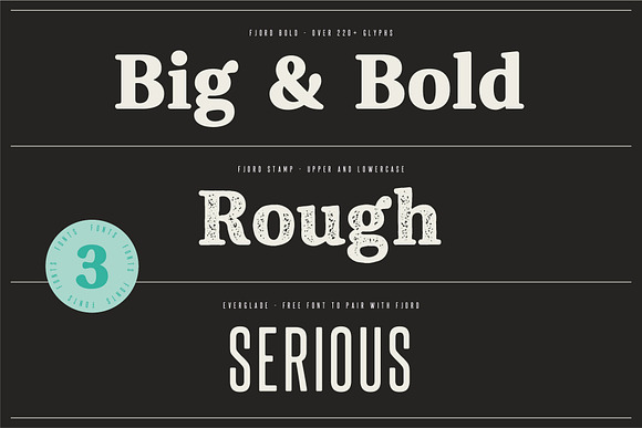 Fjord - Soft Fat Serif Font in Serif Fonts - product preview 2