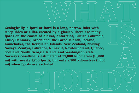 Fjord - Soft Fat Serif Font in Serif Fonts - product preview 6
