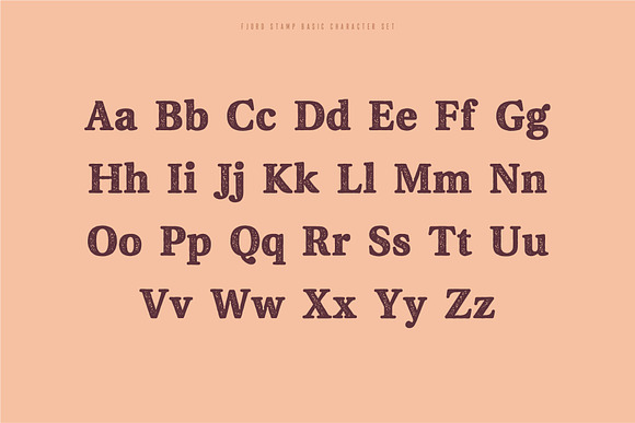 Fjord - Soft Fat Serif Font in Serif Fonts - product preview 7