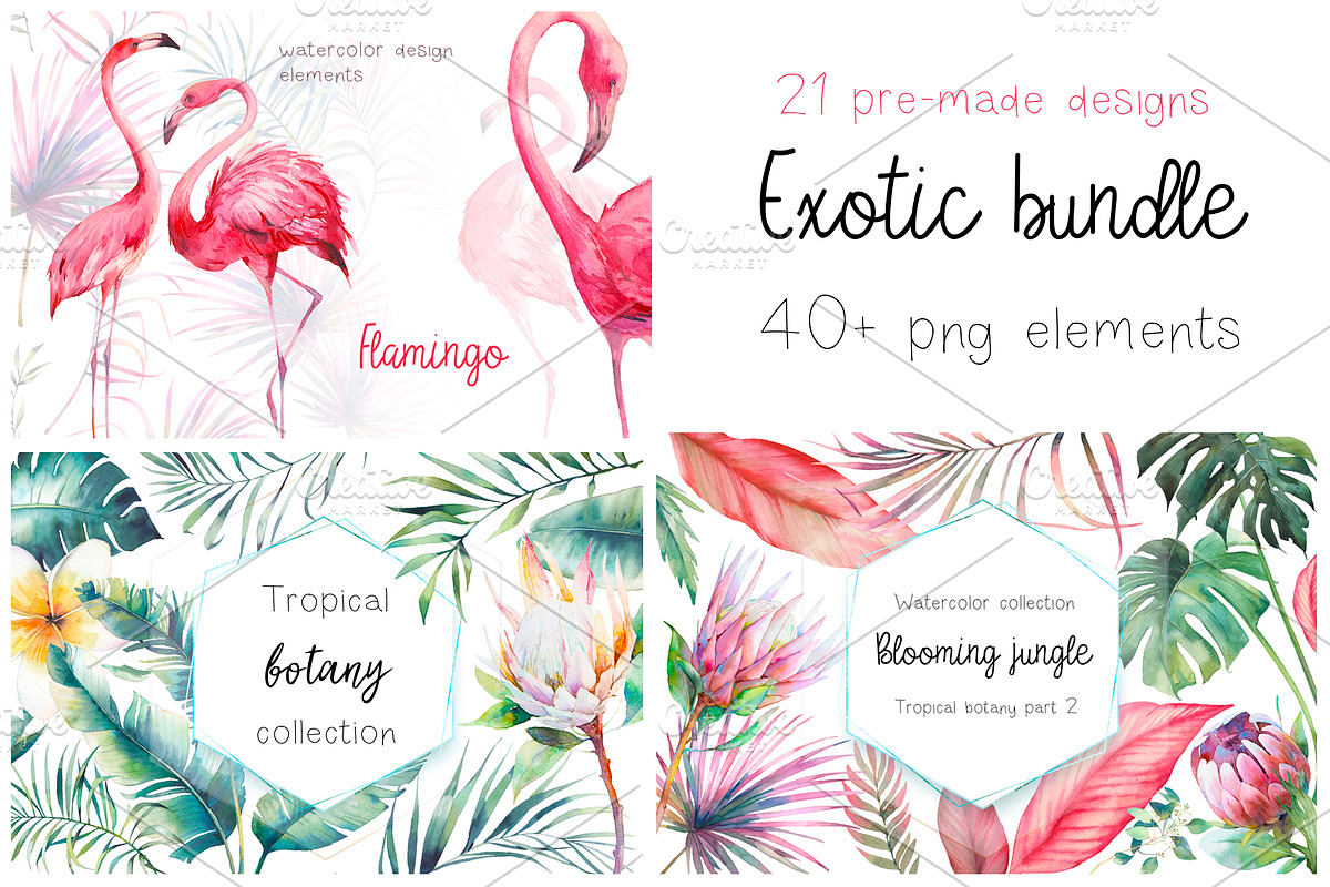 Exotic bundle in Illustrations - product preview 8