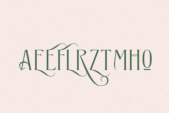 Fierce&Female | An Elegant Serif in Serif Fonts - product preview 5