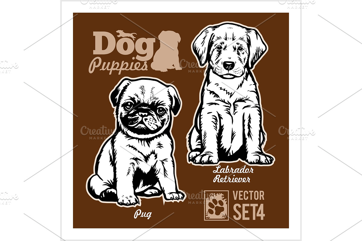 Pug and Labrador Retriever - Dog in Illustrations - product preview 8