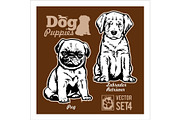 Pug and Labrador Retriever - Dog