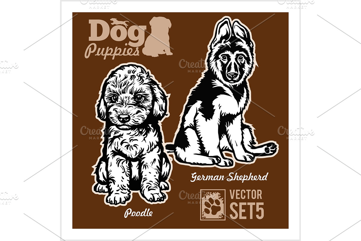 Poodle and German Shepherd - Dog in Illustrations - product preview 8