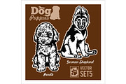 Poodle and German Shepherd - Dog