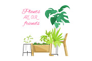 Green home plants vector poster