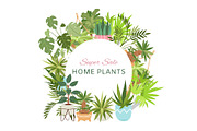 Home plants in circle wreath sale