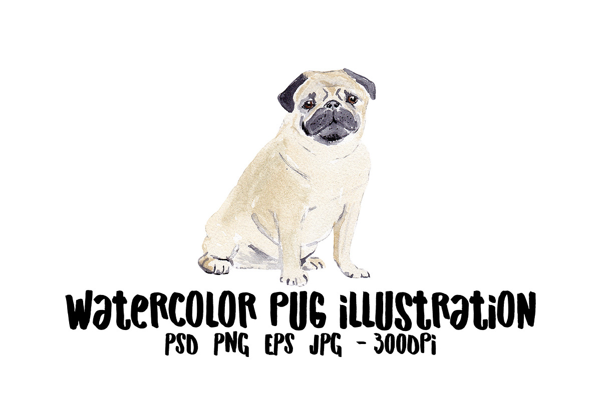 Pug Dog Illustration in Illustrations - product preview 8