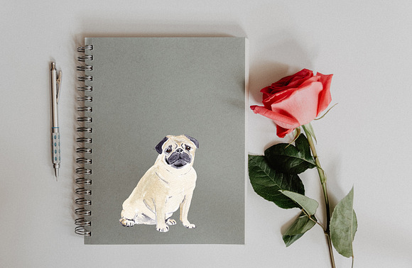Pug Dog Illustration in Illustrations - product preview 4