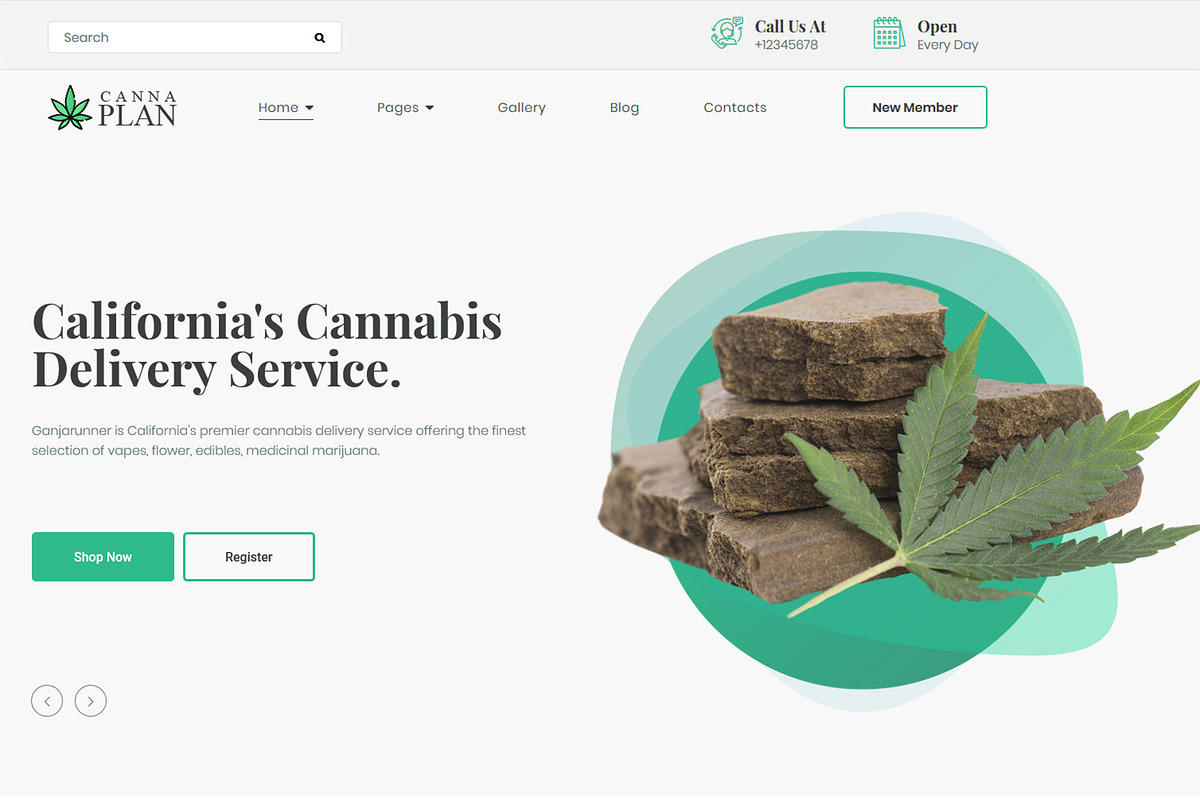 Medical Marijuana Dispensary Theme in WordPress Business Themes - product preview 8