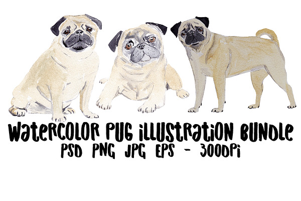Pug Dog Illustration Bundle