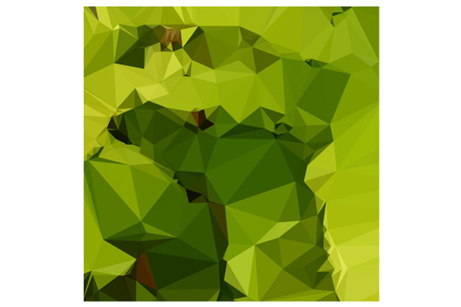 Avocado Green Abstract Low Polygon B