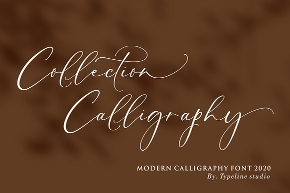 Baliland Modern Calligraphy Font. in Script Fonts - product preview 4