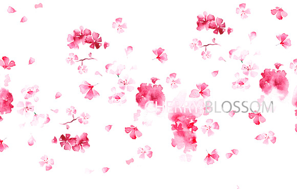 Cherry blossom in Illustrations - product preview 1