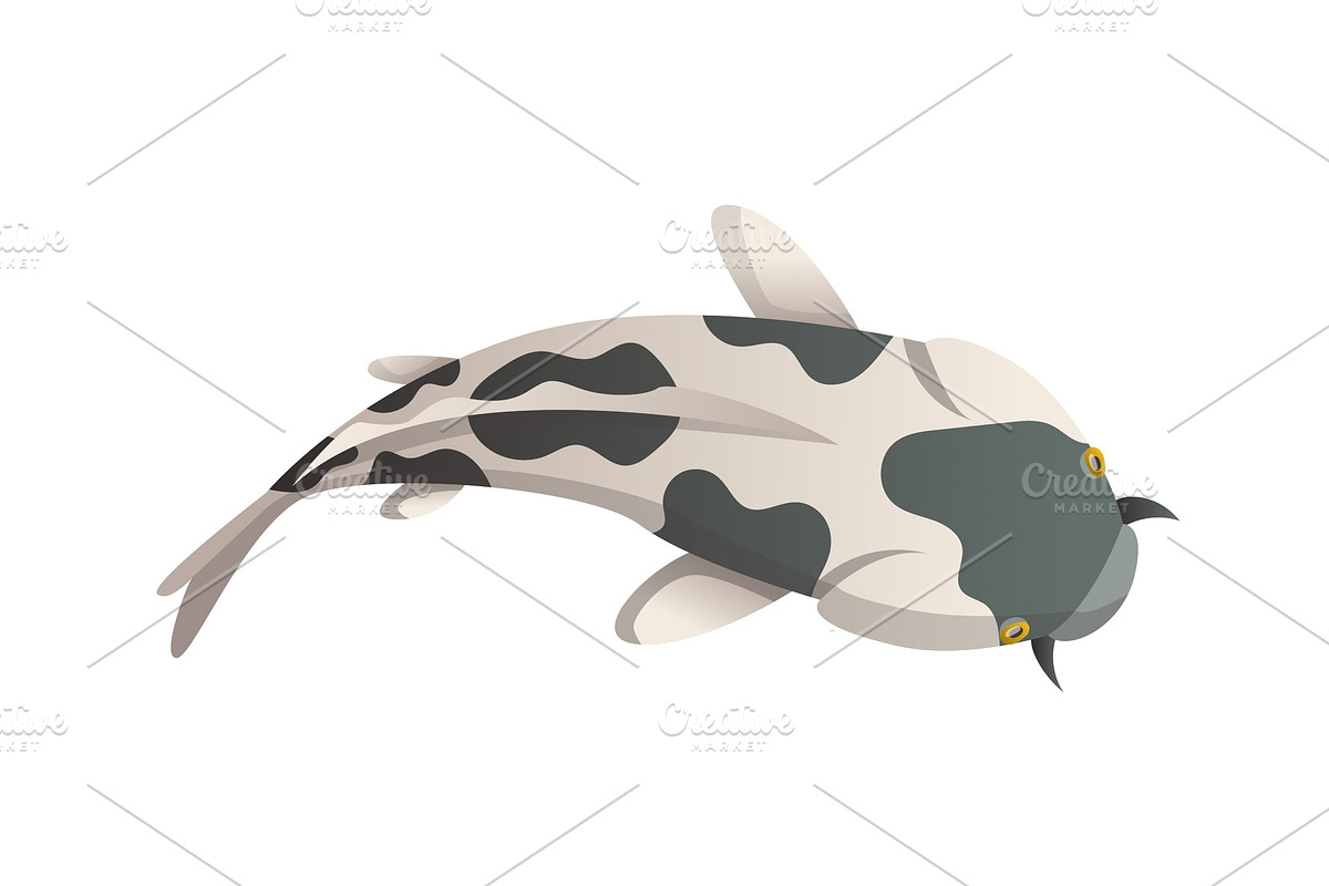 Calmly floating fish. Koi fish in Illustrations - product preview 8