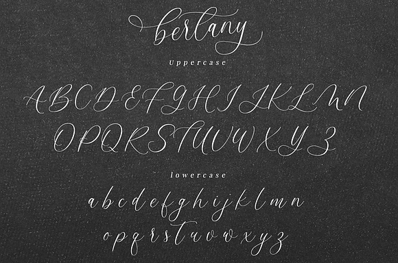 Bertany - Modern calligraphy font in Script Fonts - product preview 5