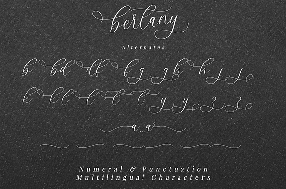 Bertany - Modern calligraphy font in Script Fonts - product preview 6