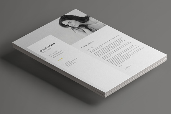 Cervantes Resume Template in Resume Templates - product preview 2