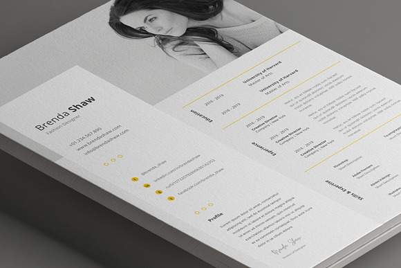 Cervantes Resume Template in Resume Templates - product preview 11