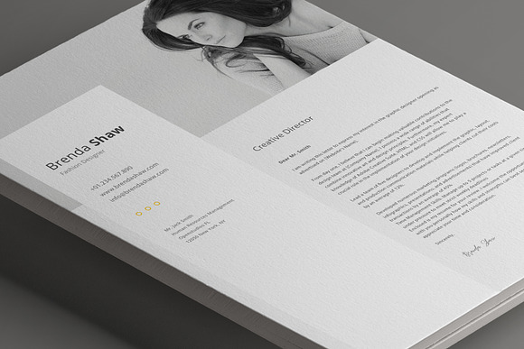 Cervantes Resume Template in Resume Templates - product preview 12