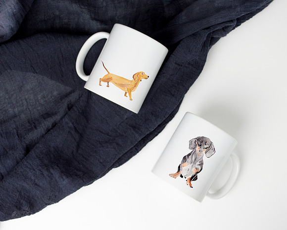 Dachshund Dog Illustration in Illustrations - product preview 2