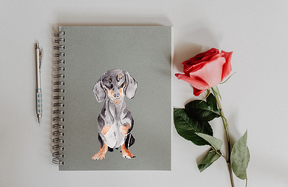 Dachshund Dog Illustration in Illustrations - product preview 4