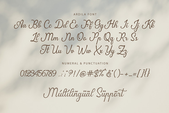 Ardila / Lovely Calligraphy Font in Script Fonts - product preview 9
