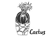 Cactus in sketch style, vector