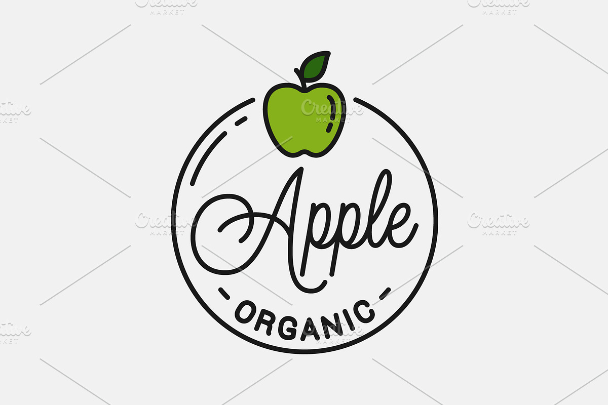 Apple fruit logo. Round linear logo. in Illustrations - product preview 8