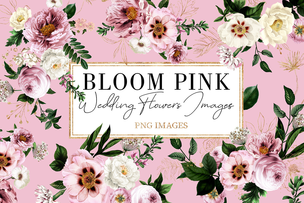 Bloom Pink Rose in Illustrations - product preview 8