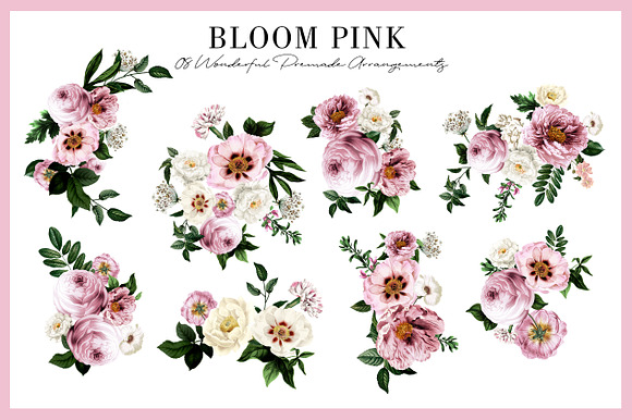 Bloom Pink Rose in Illustrations - product preview 1