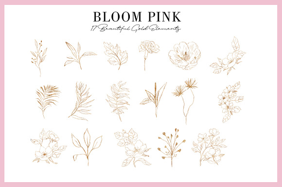 Bloom Pink Rose in Illustrations - product preview 4