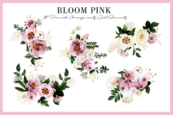 Bloom Pink Rose in Illustrations - product preview 8