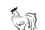 Vector of rooster or cock. Animal.