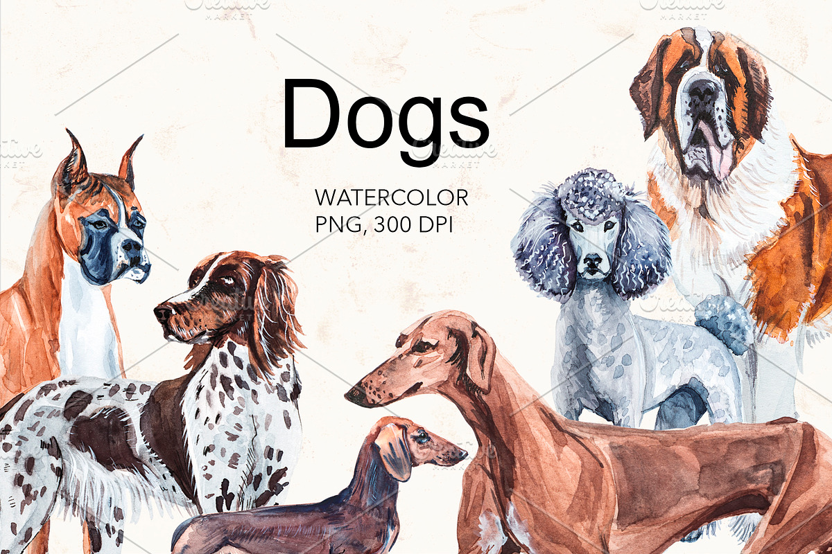 Dogs watercolor collection. in Illustrations - product preview 8