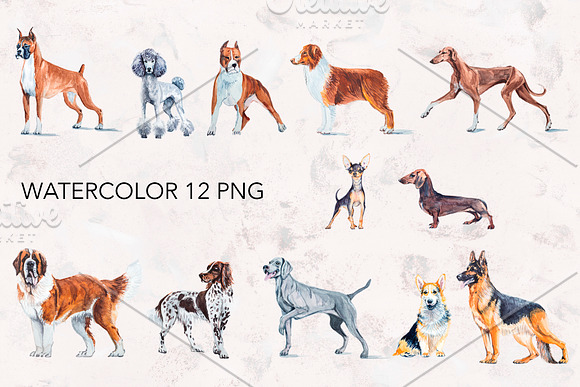 Dogs watercolor collection. in Illustrations - product preview 1