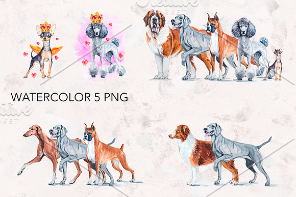 Dogs watercolor collection. in Illustrations - product preview 2