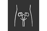 Healthy women reproductive system ch