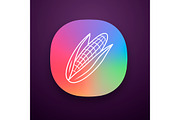 Corn color app icon