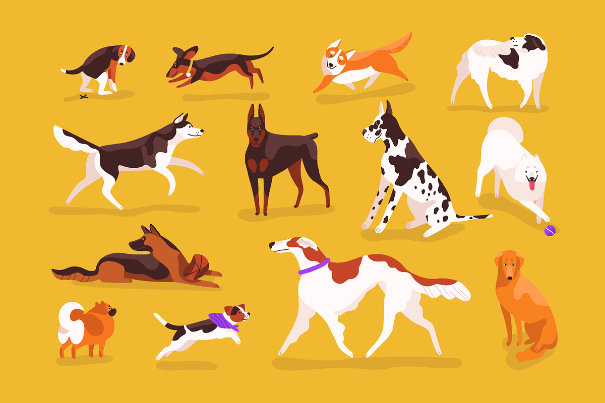 Dogs set in Illustrations - product preview 8