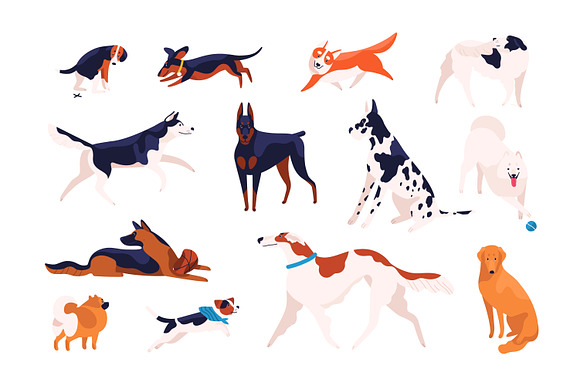 Dogs set in Illustrations - product preview 4