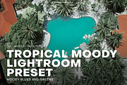 Tropical Moody Lightroom Preset