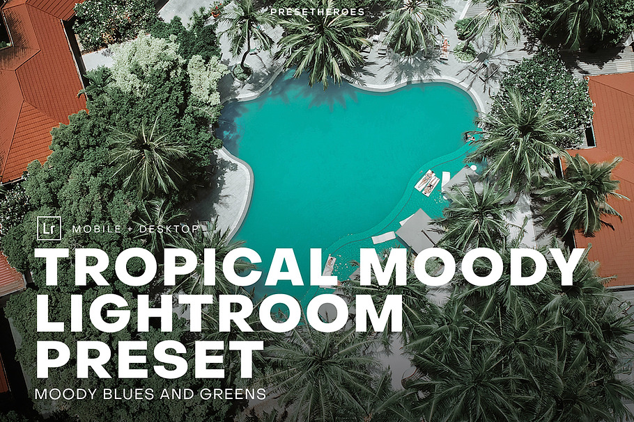 Tropical Moody Lightroom Preset in Add-Ons - product preview 8