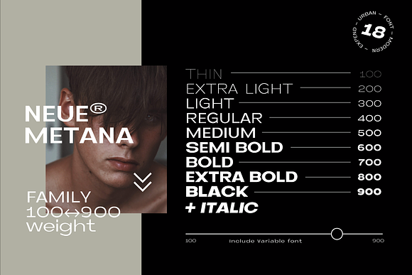 Neue Metana Font Family - 75% OFF in Sans-Serif Fonts - product preview 1