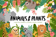 Animals & Plants