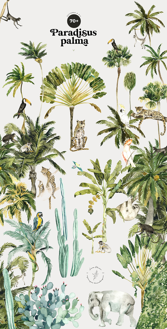 TROPICAL PALMS & animals + patterns in Illustrations - product preview 2