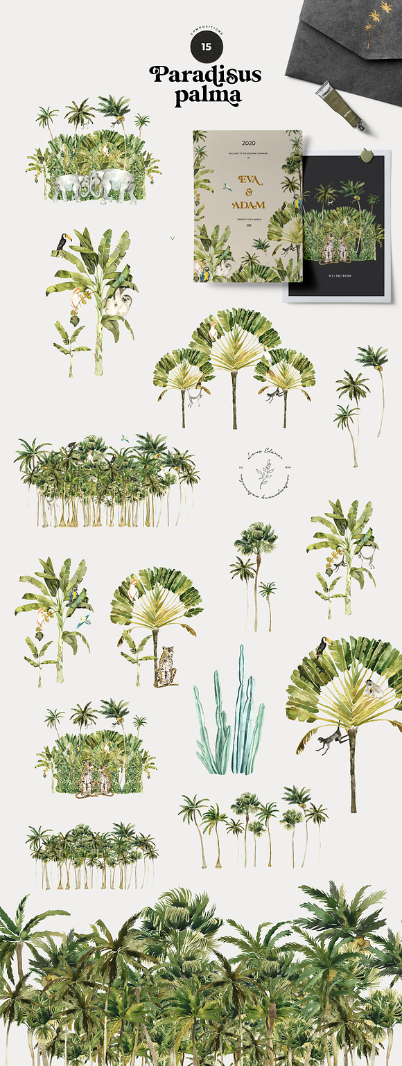 TROPICAL PALMS & animals + patterns in Illustrations - product preview 4