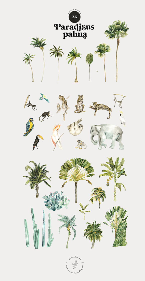 TROPICAL PALMS & animals + patterns in Illustrations - product preview 8