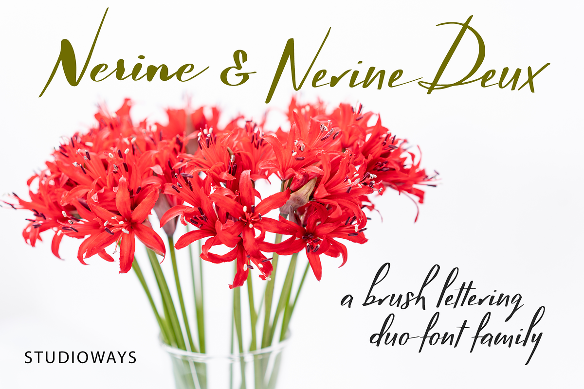 Nerine Duo Family in Script Fonts - product preview 8